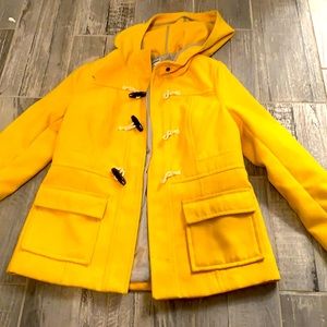 Beautiful Yellow jacket